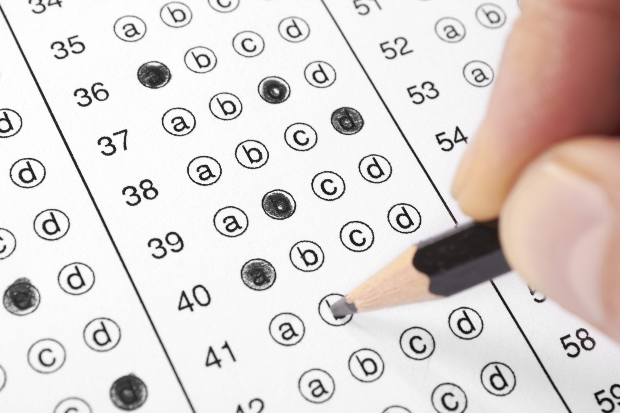 SAT Survival