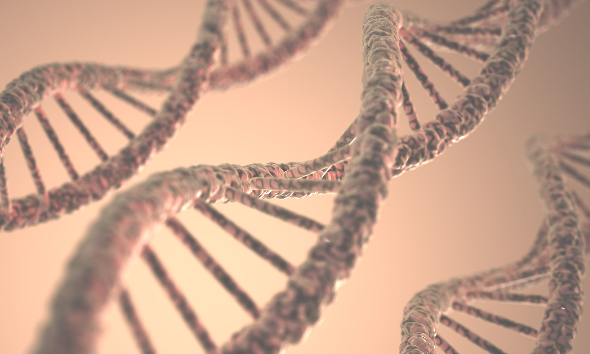 genetic engineering CRISPR studygate